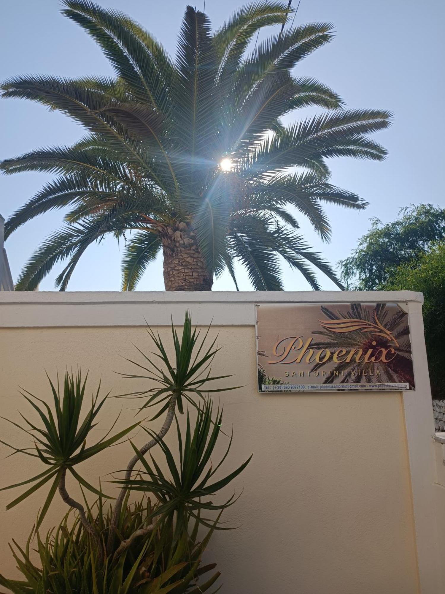 Phoenix Fíra Kültér fotó